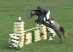 S&oacute; se estragam os bons...