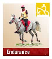 Kentucky Cup Endurance