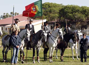 Vote na "Equipa e Treinador do Ano"