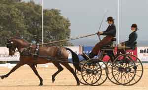 Raquel Nisa, Francisco Folque e Frederico de Beck, Campeões Nacionais de Atrelagem 2009