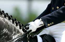 Precisa-se Tratador credenciado para a Fl&oacute;rida (EUA)