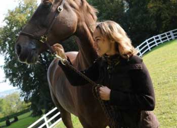 Martina Hingis n&atilde;o vai regressar ao t&eacute;nis...