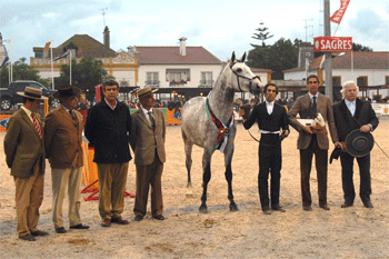 “Bariloche” campeão da raça lusitana