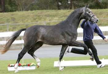 250 Mil euros para “Flemmingh”