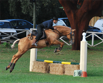 Pedro Torres sagra-se pentacampe&atilde;o nacional de Equita&ccedil;&atilde;o de Trabalho