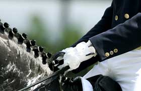 Apurados para a Taça de Portugal de Dressage 2009