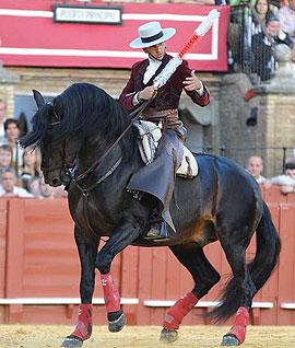 Diego Ventura comprou 16 cavalos na Golegã