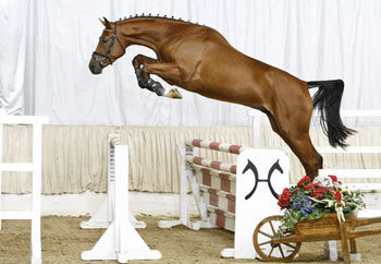 Let's Go HRH sold at Euro 130,000