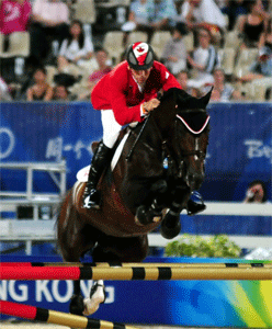 Cavalos KWPN são os melhores cavalos do mundo de saltos de obstáculos