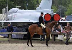 Cavalo solto em pista de aterragem