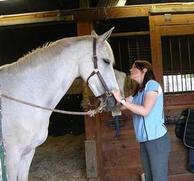 Tratadores correm o risco de sofrerem de doen&ccedil;as respirat&oacute;rias