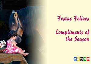 Festas Felizes para 2009