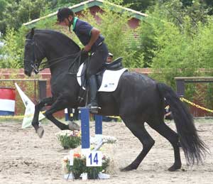 T&iacute;tulos consagram o PSL na Equita&ccedil;&atilde;o de Trabalho