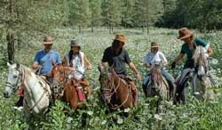 Curso de Gestão de Turismo online graças à UNED