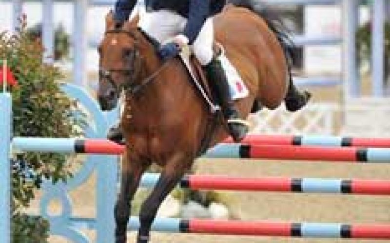 “Kraque Boom” parado durante 2 meses EQUISPORT