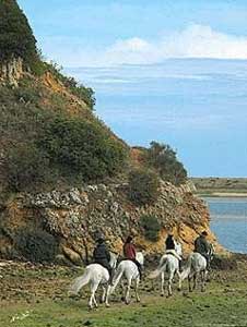 Turismo a cavalo em Portugal uma miragem