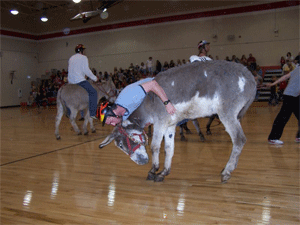 Say "no" to donkey basketball, says Peta