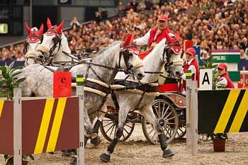 Triunfo de Daniel Würgler na 6ª etapa da FEI Taça do Mundo de Atrelagem