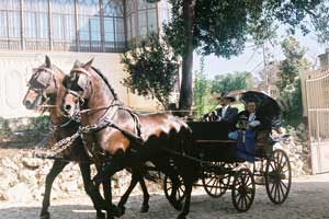 Golegã aposta no turismo equestre