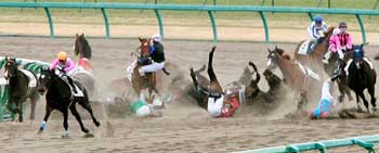 Six jockeys injured in horse racing accident