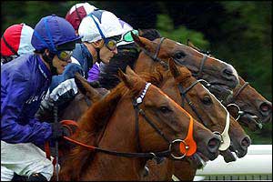 Meydan Ready for World Horse Racing