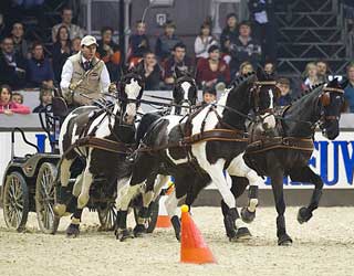De Ronde in top form in Mechelen