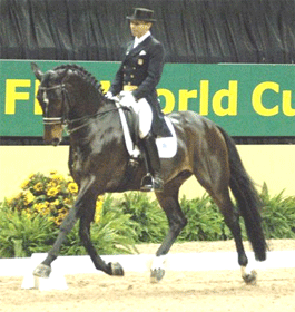 Ravel Wins USEF Horse Of The Year