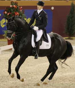 Gribaldi Retires to Stud