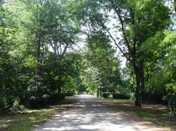 Passeio Equestre do Concelho de Lagos