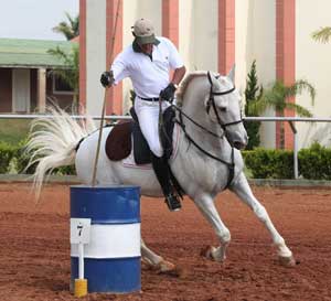 Cavalos Lusitanos iniciam temporada na Equita&ccedil;&atilde;o de Trabalho