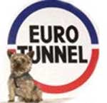 Eurotunnel open to horse transport