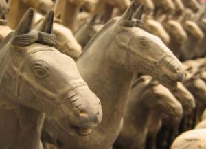 Estudo revela castrações em cavalos há mais de 2000 anos