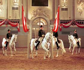 Coughing Lipizzaner horses end show