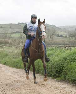 Resultados do Raid dos 200 anos das Linhas de Torres Vedras