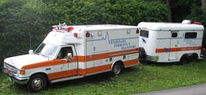 Cavalo morre ao ser cuspido de um atrelado