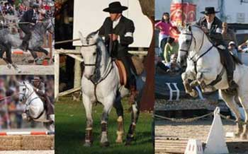 Internacional de Equitação de Trabalho na Áustria