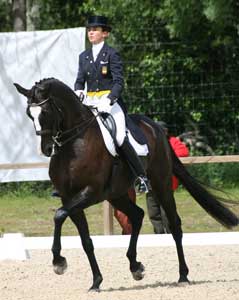 Beatriz Ferrer-Salat e Fabergé regressam à alta competição