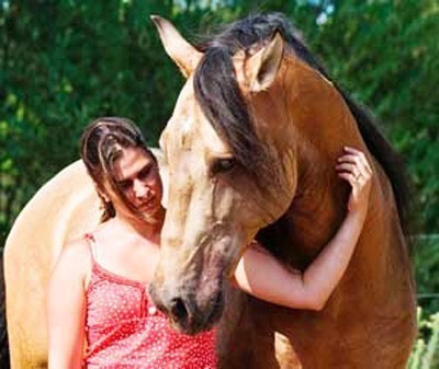 The benefits of reiki for horses
