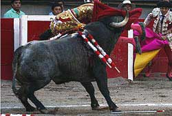 Jos&eacute; Tom&aacute;s em estado grave