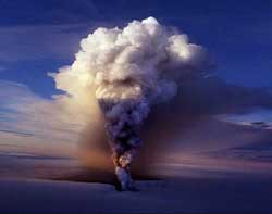 Icelandic volcano threatens animal life