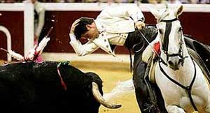 Lusitano "Chorongo" morreu na arena de Saragoça