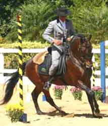 Equita&ccedil;&atilde;o de Trabalho pronta para 2010