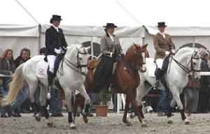 Festival do Cavalo Lusitano na Suíça