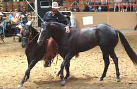 Pat Parelli Brings Natural Horsemanship Clinic to Equine Village of the 2010 Games