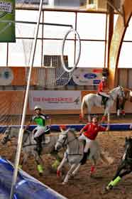 Jornada Dupla de Horseball em Reguengos