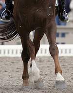 Resultados do CDN de Reguengos de Monsaraz