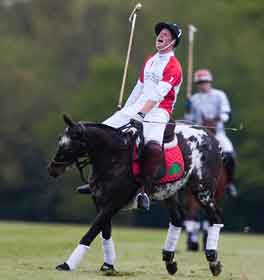 Royal polo pony collapses and dies