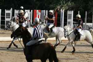 Campeonato Nacional Challenge vai &agrave; OVIBEJA