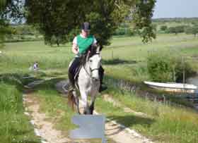 Resultados das jornadas do Cto. Nacional de TREC