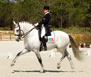 Lusitanos brilham no Grande Prémio do CDI de Toledo (actualizado)